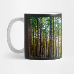 Sunshine Through a Redwood Forest Mug